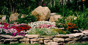 Rock Garden Nursery & Landscpg