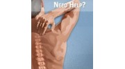 Chiropractor in Albany, NY