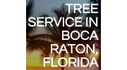 Tree Service in Boca Raton, FL