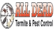 All Dead Termite