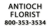 Antioch Florist