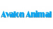 Avalon Animal Hospital