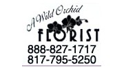 A Wild Orchid Florist