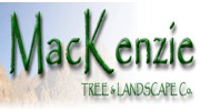 Mackenzie Tree And Landscape