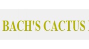 Bach's Cactus Nursery