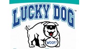 Lucky Dog Resort & Training