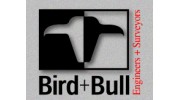Bird CF Bull RJ