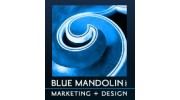 Blue Mandolin Marketing