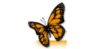 Butterfly Direct Marketing & Comm