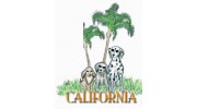 California Academy Of Dog BHVR