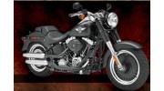 Cajun Harley - Davidson Buell