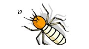 Cartwright Termite & Pest