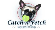 Catch-N-Fetch