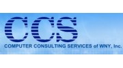 Computer Consulting Service