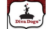 Diva Dogs Salon & SPA