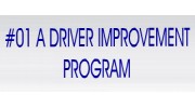 Driver Improvement Program