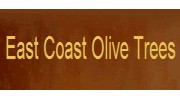 East Coast Olive Trees