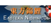 Eastern Nishikigoi