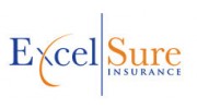 Excelsure Insurance Services