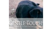 Gentle Touch Dog Training