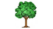 Green Tree Environmental Systems