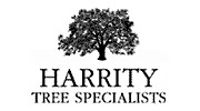 Harrity Joseph Tree Specialist
