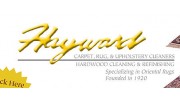 Hayward Rug Cleaners