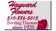 Hayward Florals