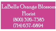 La Belle Orange Blossom Florists