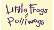Little Frogs & Polliwogs