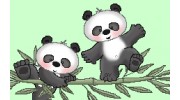 Little Pandas Playschool
