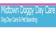 Midtown Doggy Day Care