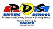 Professional Driving Systems