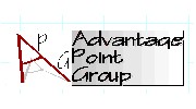 Advantage Point Group