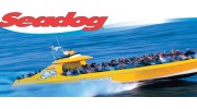 Seadog Speed Boat Rides