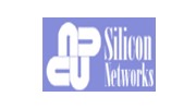 Silicon Networks