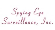 Spying Eye Surveillance
