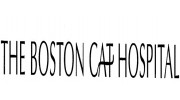 Boston Cat Hospital-Kenmore Sq