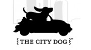 The City Dog