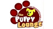Puppy Lounge