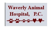 Waverly Animal Hospital