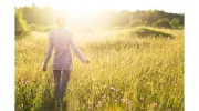 Holistic Back Relief Acupuncture & Wellness Center