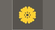 Marigold Clothing