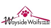 Wayside Waifs