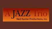 Kantar Ned Productions