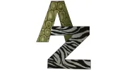 A To Z Veterinary Clinic
