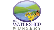 Watershed Nursery