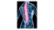 Dr. Sadlon: Chiropractic Health & Acupuncture