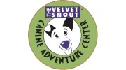 The Velvet Snout