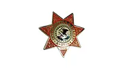 SS Investigators